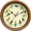 Orologio da parete Sveglia durevole con canto degli uccelli per riunioni,