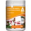 ARBOKOL - FONTE VERDE MASTICE PER INNESTI E FERITE DELLE PIANTE ARBOKOL E FONTE VERDE 1 KG COD. 767640