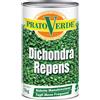 FERRI SEMENTI Prato Verde DICHONDRA REPENS Semi sementi prato per tappeti erbosi 1 KG