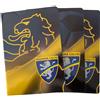 Tris quaderni Frosinone calcio Prodotto ufficiale quadretti senza margine