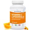 Bandini® Vitamina C 60 Capsule Liposomiale Vegana 800mg - ad Alto Assorbimento