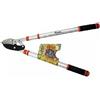 LIONS TAGLIARAMI ALLUNGABILE TELESCOPICO LIONS MODELLO 452T CON TAGLIO A BATTUTA