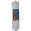 Omnipure Filtro K5533CC In line 10"x 2.5" GAC Carbone Attivo Granulare 40 Mesh