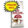 ROYAL CANIN GATTO ADULTO FIT 32 4 KG