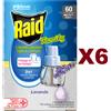 Raid 6 PZ RAID FAMILY LIQUIDO RICARICA LAVANDA 60 NOTTI CONTRO ZANZARE TIGRE 36ML
