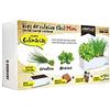 Semillas Batlle Productos Jardineria Seed Box Mini Culinarias