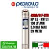 Pedrollo 4SR6/9 POMPA COMPLETA SOMMERSA X POZZI 4" PEDROLLO 4SR6M/ HP1.5 150LT/MIN