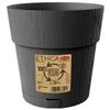 STEFANPLAST spa Vaso da Esterno Interno Ethica Colore Grafite 15 x 15 cm Stefanplast