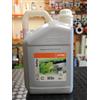 STIHL Olio catena motosega STIHL Bioplus originale biodegradabile tanica 5 Litri