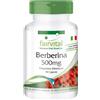 Fairvital Berberina 500 mg con citrato di zinco - 90 capsule - VEGAN | fairvital