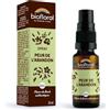 BIOFLORAL - Paura dell'abbandono - BIO DEMETER - Spray 20 ML - Equilibrio emotivo - Fiori di Bach autentici