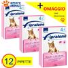 Formevet Fipralone Gatto - 1 / 2 / 4 / 6 / 8 / 12 pipette - Antiparassitario per Gatti