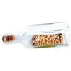PET'S SOLUTION DI TRIBUZIO VITO Pets DECORAZIONE ACQUARIO IN RESINA STELLE E CORALLINI IN BOTTIGLIA 17X5X5HCM AC