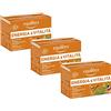 Equilibra Integratori Alimentari Tisane, Tisana Energia e Vitalità, 100% Ingredienti Funzionali Contro la Stanchezza, con Mate, Tè Verde e Guaranà, Materiali 100% Riciclabili, 3 Pezzi da 15 Filtri