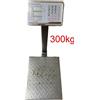 Bilancia Industriale Terra 300Kg Display Digitale PesaPacchi Bascula Piattaforma