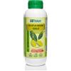 FITOKEM | Olio di Neem GOLD | Potenziato con ZEOLITE e CHABASITE
