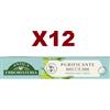 ANTICA ERBORISTERIA 12 PZ ANTICA ERBORISTERIA PURIFICANTE MENTA E TE' VERDE DENTIFRICIO 75ML
