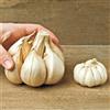 50 bulbillini di Aglione da seme/semina/bulbi biologici aglio semi di aglione