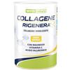 Why Sport WHY NATURE Collagene Rigenera 333g gusto Vaniglia collagene idrolizzato