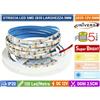UNIVERSO STRIP STRISCIA LED MONOCOLORE 5 METRI SMD 2835 120 LED IP20 LARGHEZZA 5MM