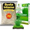 Albagarden - Concime Prato x 2 KG - Fertilizzante Granulare Per Tappeto Erboso E Da Semi - Ottimo Per Tutte Le Varietà Di Erba, Erbetta, Prato A Rotoli Resistente