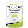 WHY Nature Collagene Rigenera 330 gr Vaniglia con vitamina C e Acido ialuronico