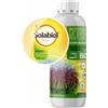 Solabiol Olio Bianco Vegetale X 1 lt Insetticida