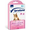 Formevet Fipralone antiparassitario SPOT-ON 4 PIPETTE per GATTI contro PULCI e ZECCHE