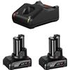 Bosch 2x 6.0Ah, GAL 12V-40 batt. Mod. 1600A01B20 EAN 3165140968669