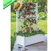 Stefanplast Vaso Rettangolare con Spalliera per Piante Rampicanti Fioriera Edera 43x100x142h