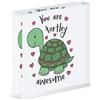 Gift Base You Are Turtley Bellissimo Acrilico Foto Blocco Cornice Tartaruga San