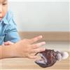 Figure di rana pescatrice Animali marini Modello per feste Regalo di