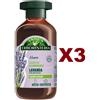 ANTICA ERBORISTERIA 3 PZ ANTICA ERBORISTERIA SHAMPOO ILLUMINANTE LAVANDA CAPELLI NORMALI 225ML