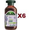 ANTICA ERBORISTERIA 6 PZ ANTICA ERBORISTERIA SHAMPOO ILLUMINANTE LAVANDA CAPELLI NORMALI 225ML