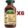 ANTICA ERBORISTERIA 6 PZ ANTICA ERBORISTERIA SHAMPOO E BALSAMO 2IN1 IDRATANTE LATTE DI RISO 225ML