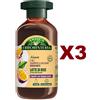 ANTICA ERBORISTERIA 3 PZ ANTICA ERBORISTERIA SHAMPOO E BALSAMO 2IN1 IDRATANTE LATTE DI RISO 225ML