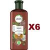Herbal Essences 6 PZ HERBAL ESSENCES IDRATA SHAMPOO LATTE DI COCCO VEGANO CAPELLI SECCHI 250ML