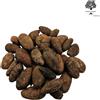 AgoraMarket Fave Di Cacao Tostate 85g - 1,95Kg Qualità Premium Cacao Theobroma