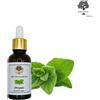 Mercato dell'agora 100% Olio di Origano Greco Puro 1 foz-30 ml Grado Terapeutico | Alto Carvacrolo