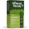 Il Paese Verde Concime Growing 25mq- Concime Granulare Npk per Prato, 1kg