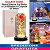 Galaxy Rose Dome Rosa Eterna La Bella e La Bestia in Cupola di Vetro Regalato