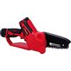 SANDRI GARDEN TRONCARAMI ELETTROSEGA A BATTERIA SANDRIGARDEN SG-TR 20 2 batterie e valigetta