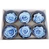 6 ROSE STABILIZZATE DA 6 CM ADDOBBI NATURALI WEDDING