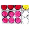 6 ROSE STABILIZZATE DA 6 CM ADDOBBI NATURALI WEDDING