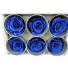 6 ROSE STABILIZZATE DA 6 CM ADDOBBI NATURALI WEDDING