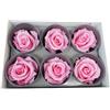 6 ROSE STABILIZZATE DA 6 CM ADDOBBI NATURALI WEDDING