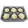 6 ROSE STABILIZZATE DA 6 CM ADDOBBI NATURALI WEDDING