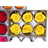 6 ROSE STABILIZZATE DA 6 CM ADDOBBI NATURALI WEDDING