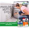AKZO NOBEL CICLO ANTIMUFFA SIKKENS ALPHA DESINFECTOR PIU TEX SCHIMMELWEREND DA 1 LITRO