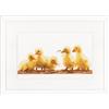 Vervaco 0153751 - Punto Croce - Ricamo al Punto Croce, Cotone, Bianco, 32 x 14 x 0,3 cm